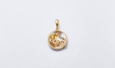 2025 Charm
