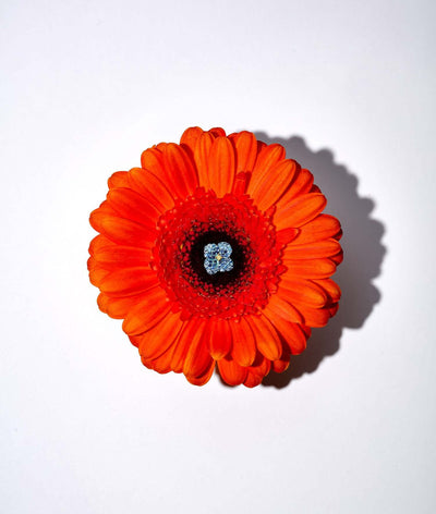 Blue Poppy Charm