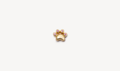 Cat Paw Charm