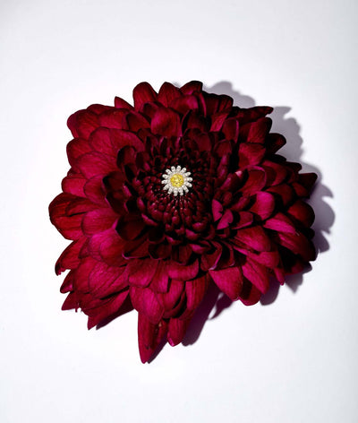 Diamond Daisy Charm