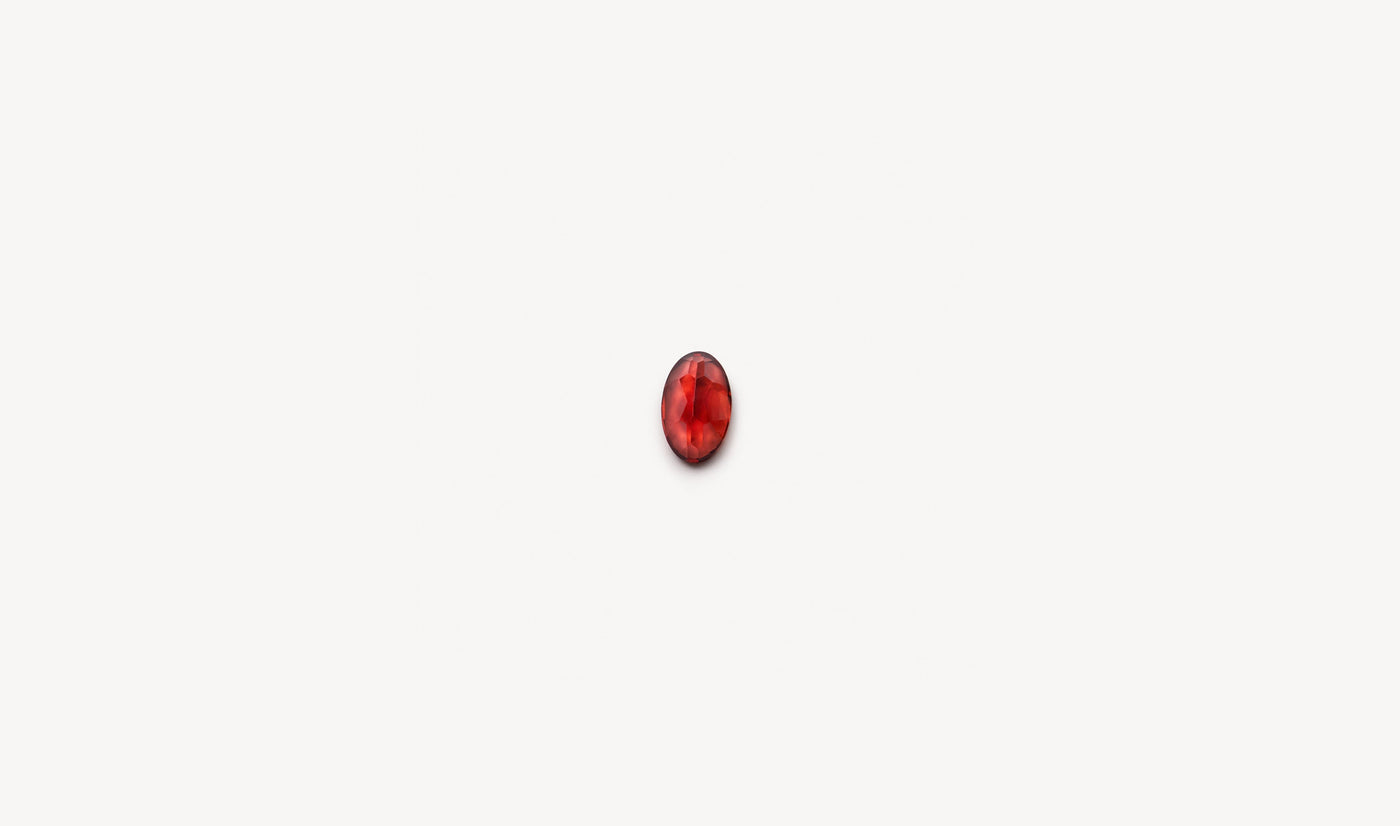 Pendentif Mois Janvier - Garnet