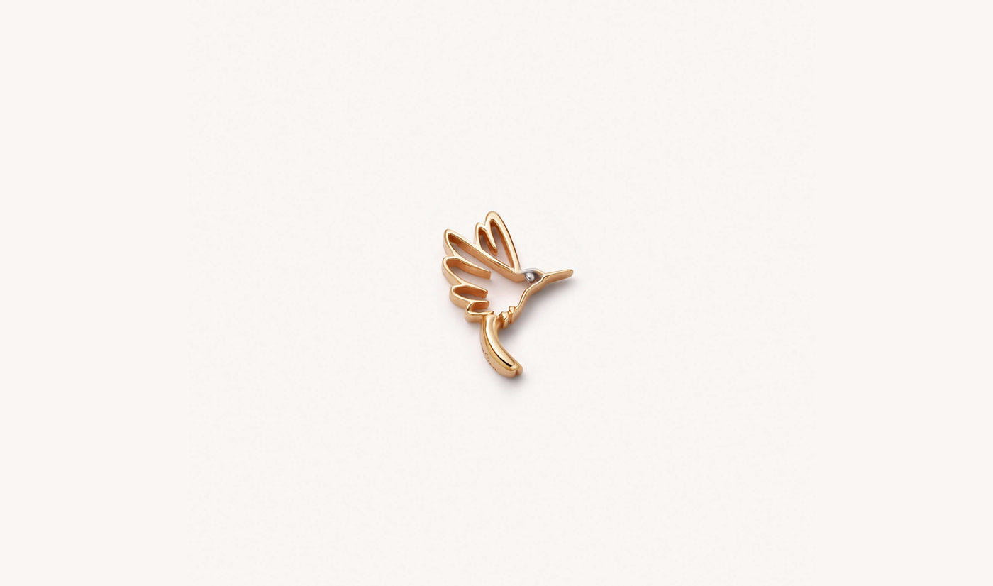 Hummingbird Spirit Animal Charm