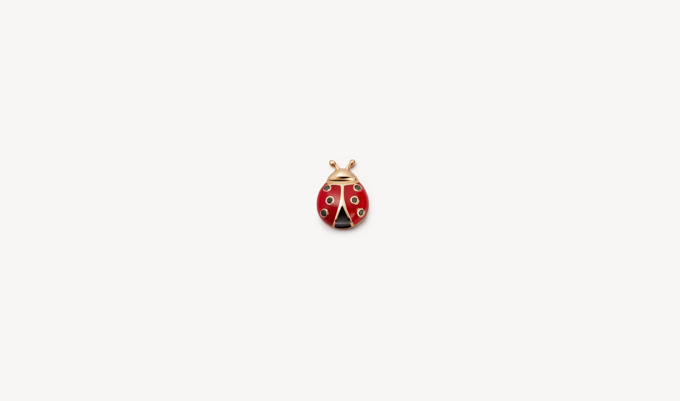 Ladybird Charm