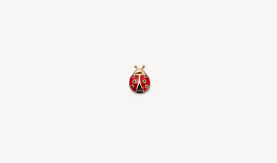 Ladybird Charm