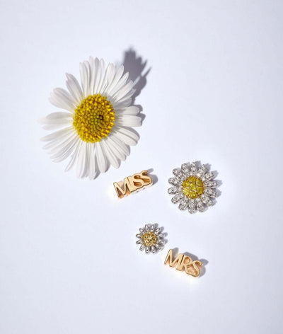 Mrs Script Charm
