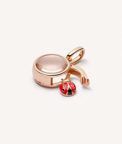 Ladybird Charm