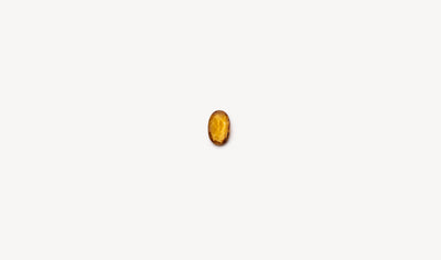 Pendentif Mois Novembre  - Citrine