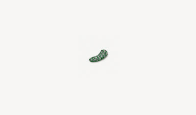 Pickle Charm