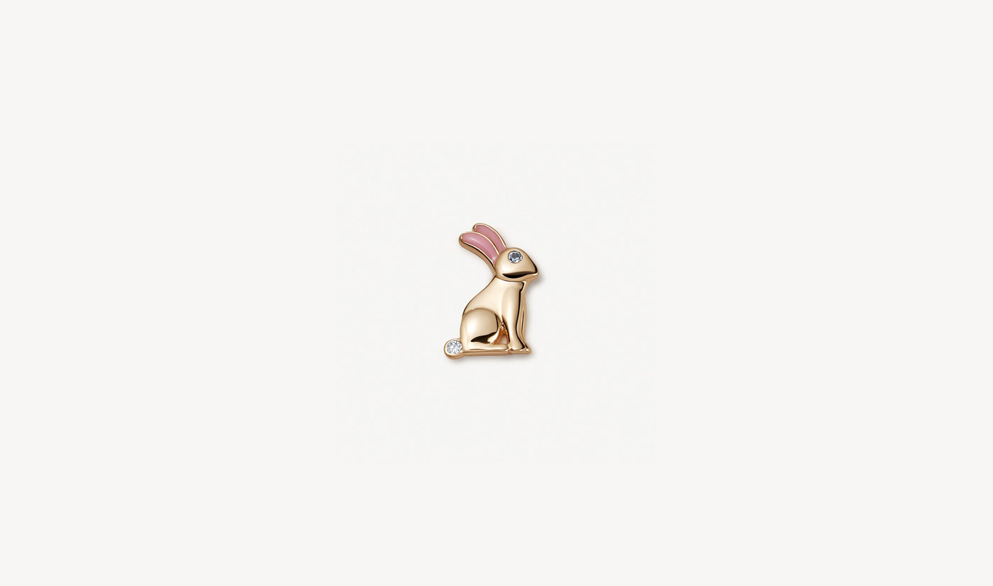 Rabbit Charm